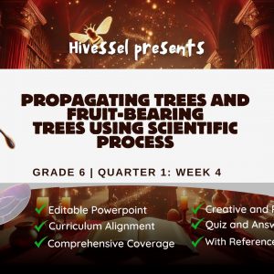 TLE 6 Quarter 1 Lesson 4